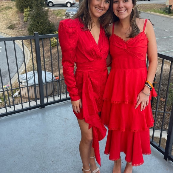 Ronny Kobo LILIAN ZEBRA MOIRÉ MINI DRESS - Picture 13 of 13